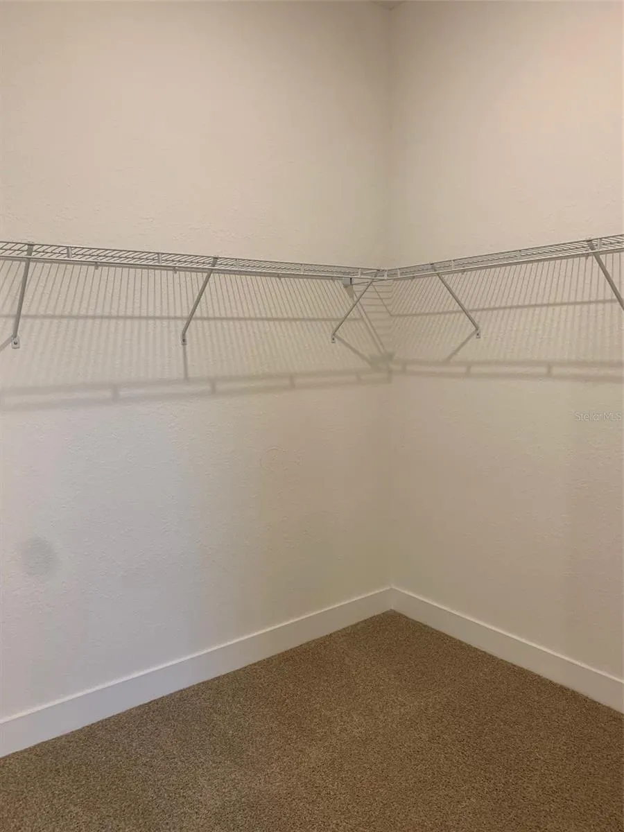 Owners walk in closet