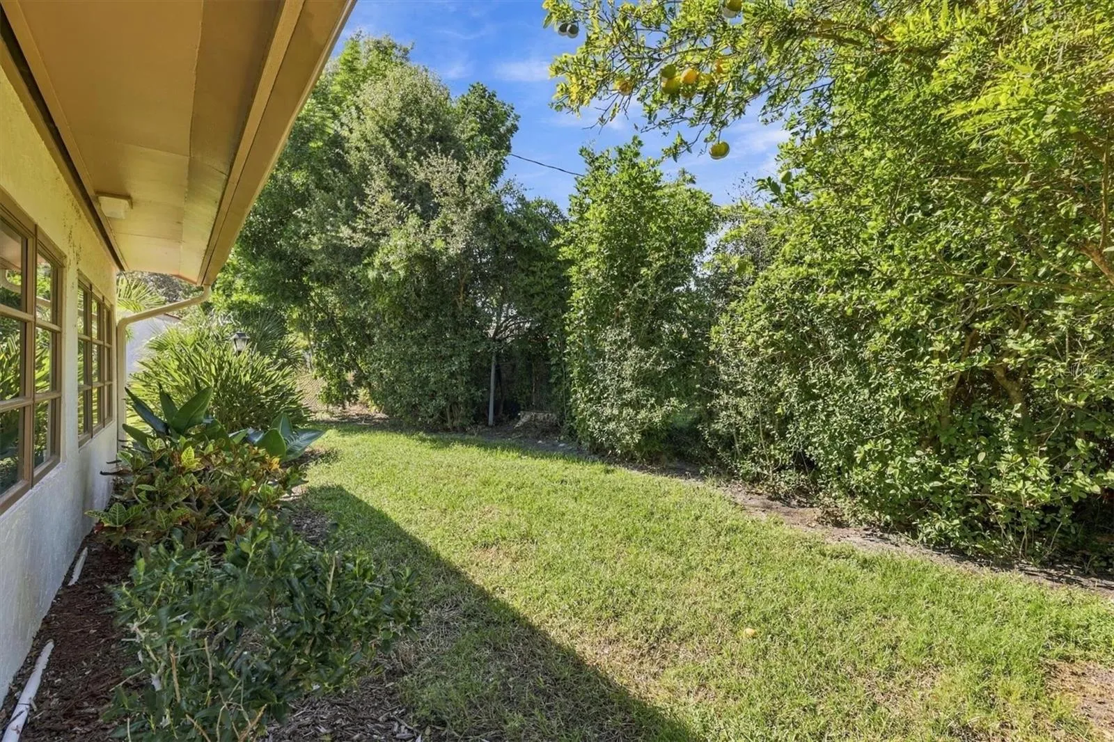 Backyard