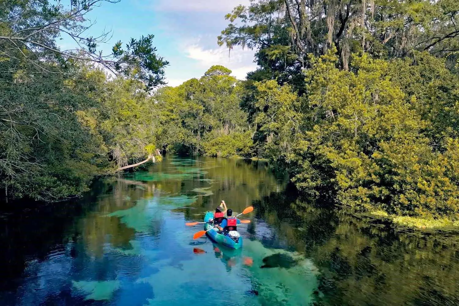 The Springs