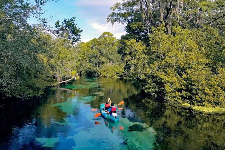 The Springs
