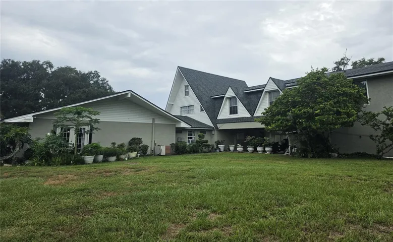 Back view