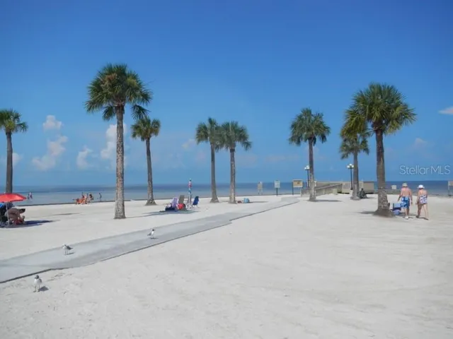 Near Pine Island Beach