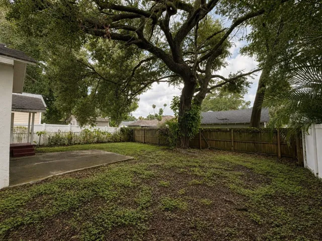 backyard