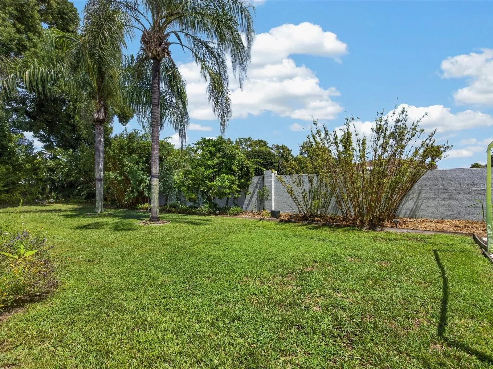 Backyard fully fenced