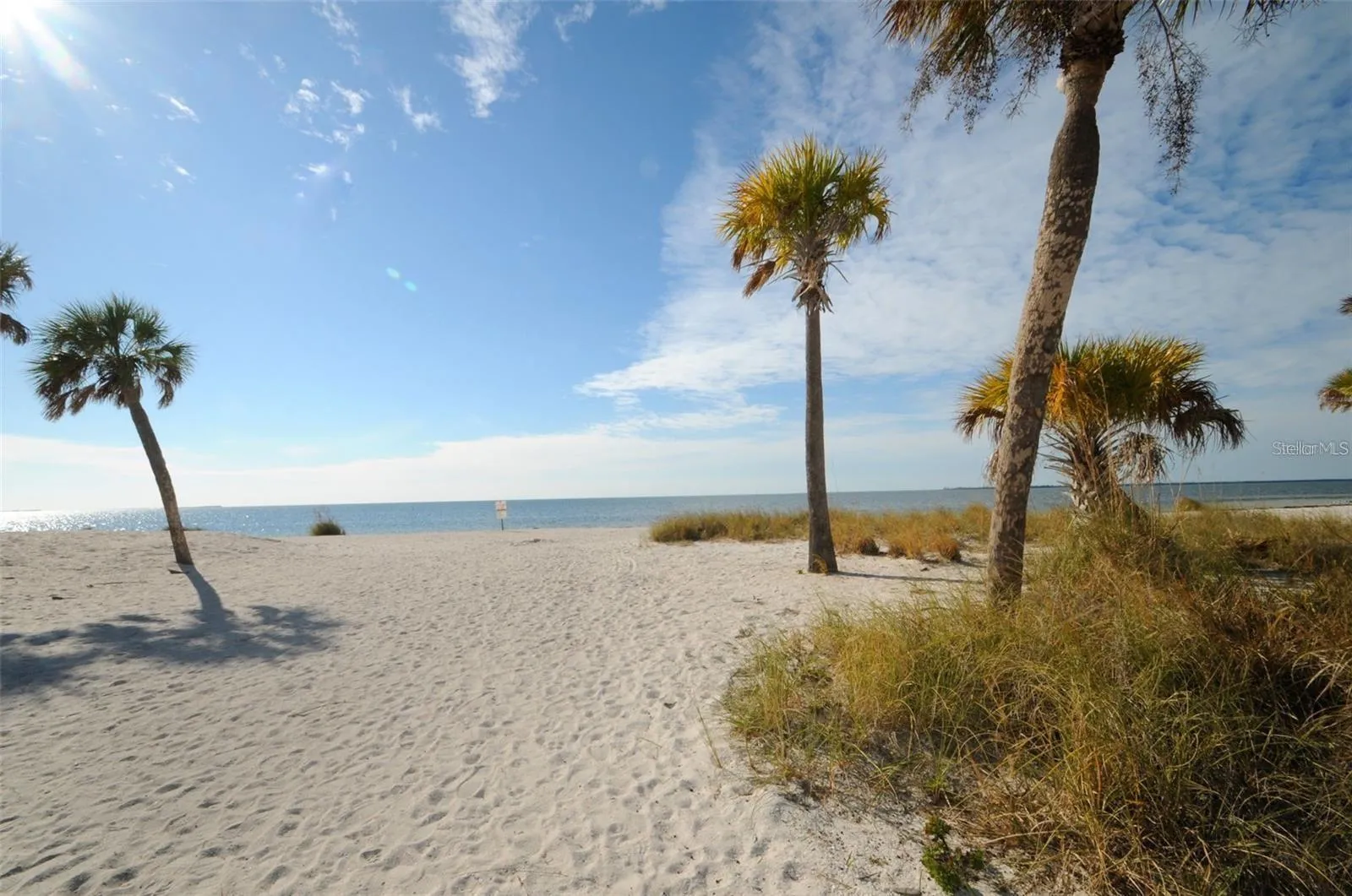 Tarpon Springs Golf Course