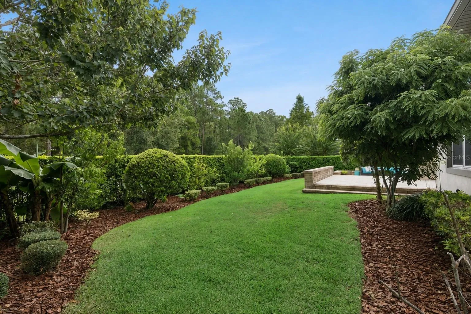 This Side Yard is Everything!