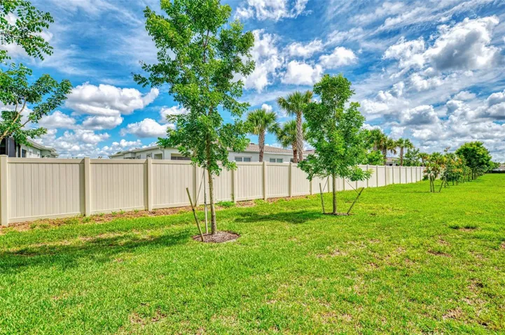 BACK YARD
