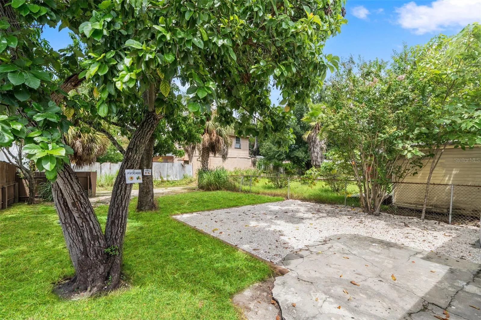 Backyard with fruit trees (grass enhanced)