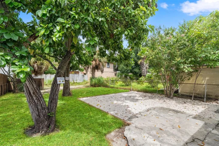 Backyard with fruit trees (grass enhanced)