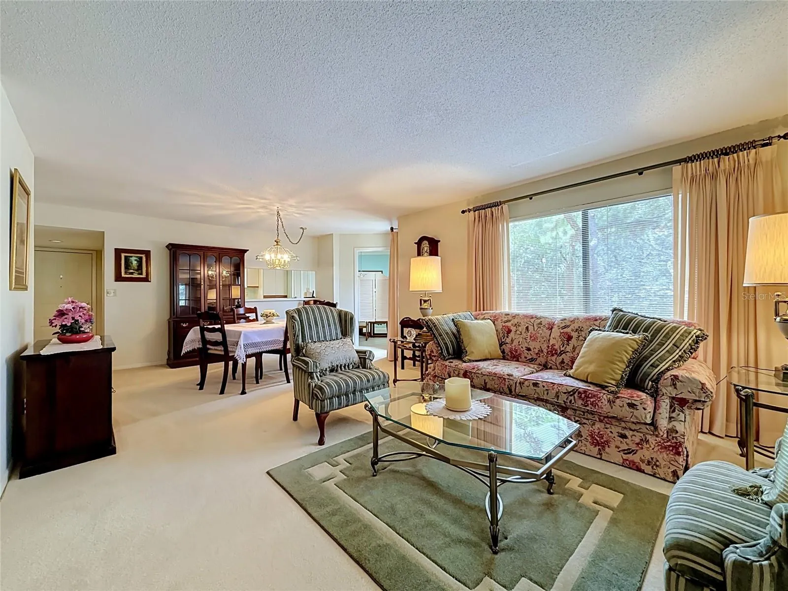 Living Room - Dining Room