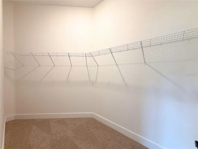 Owner's Walking Closet