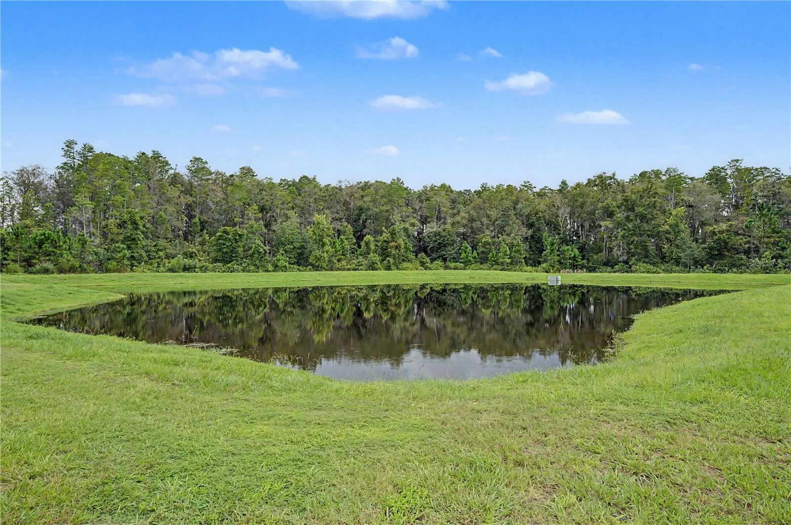 Pond Views