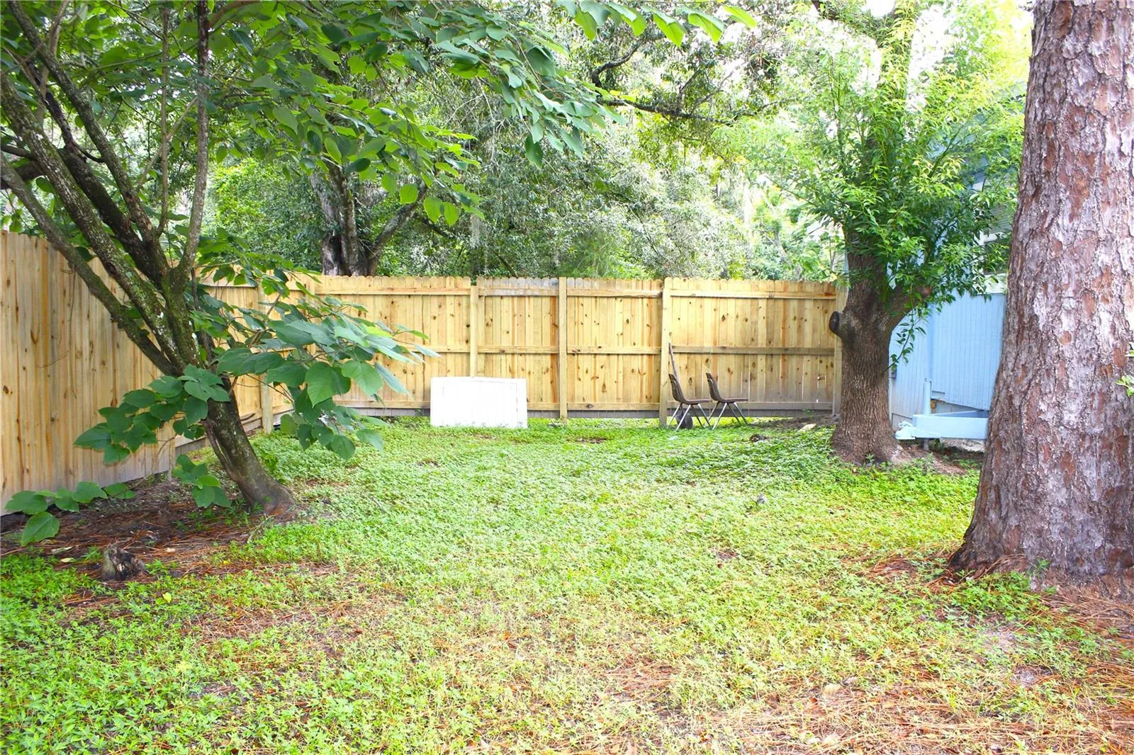 FENCED BACKYARD