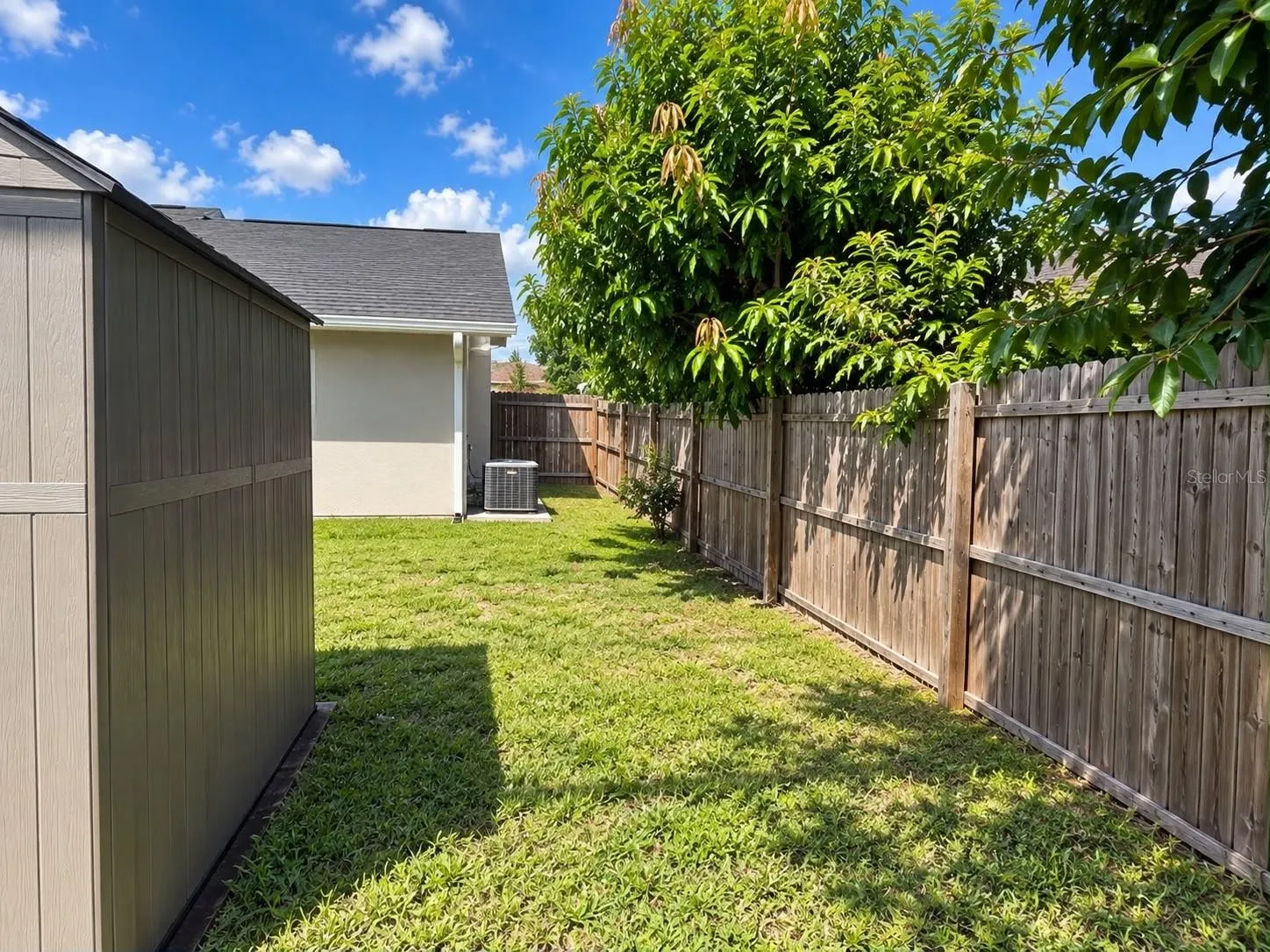 Backyard