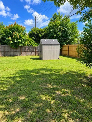 Backyard