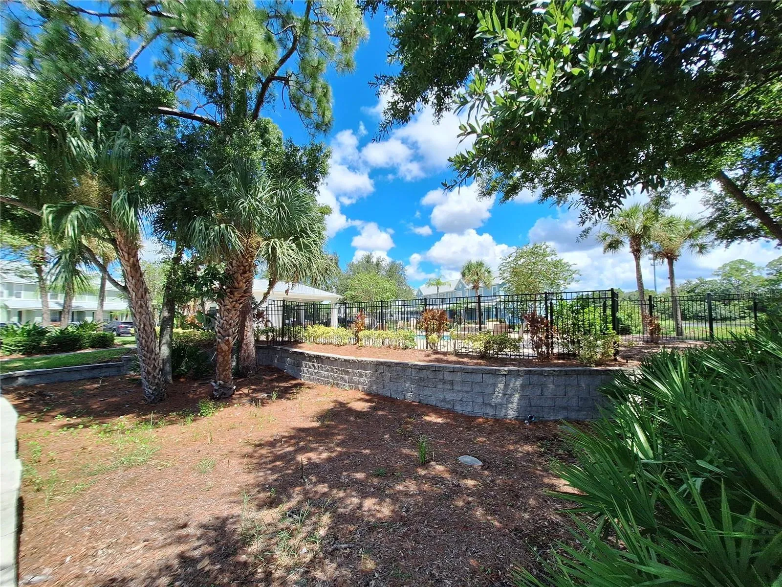 View of Pool Outside Fenced Area