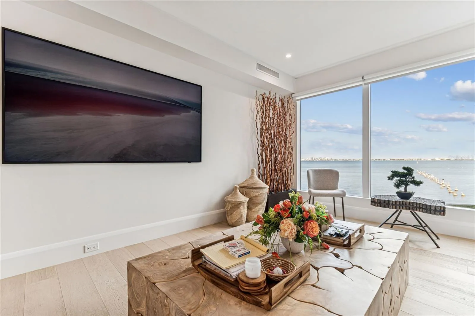 Living Room/View