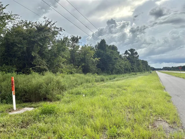 FL-50 Side View