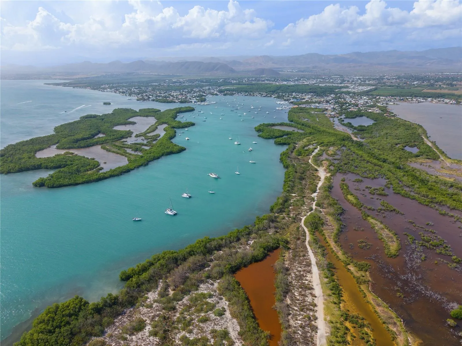 Aerial Coastal View