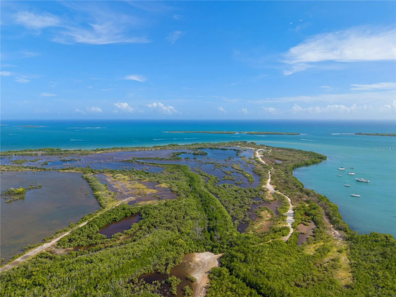 Aerial Coastal View