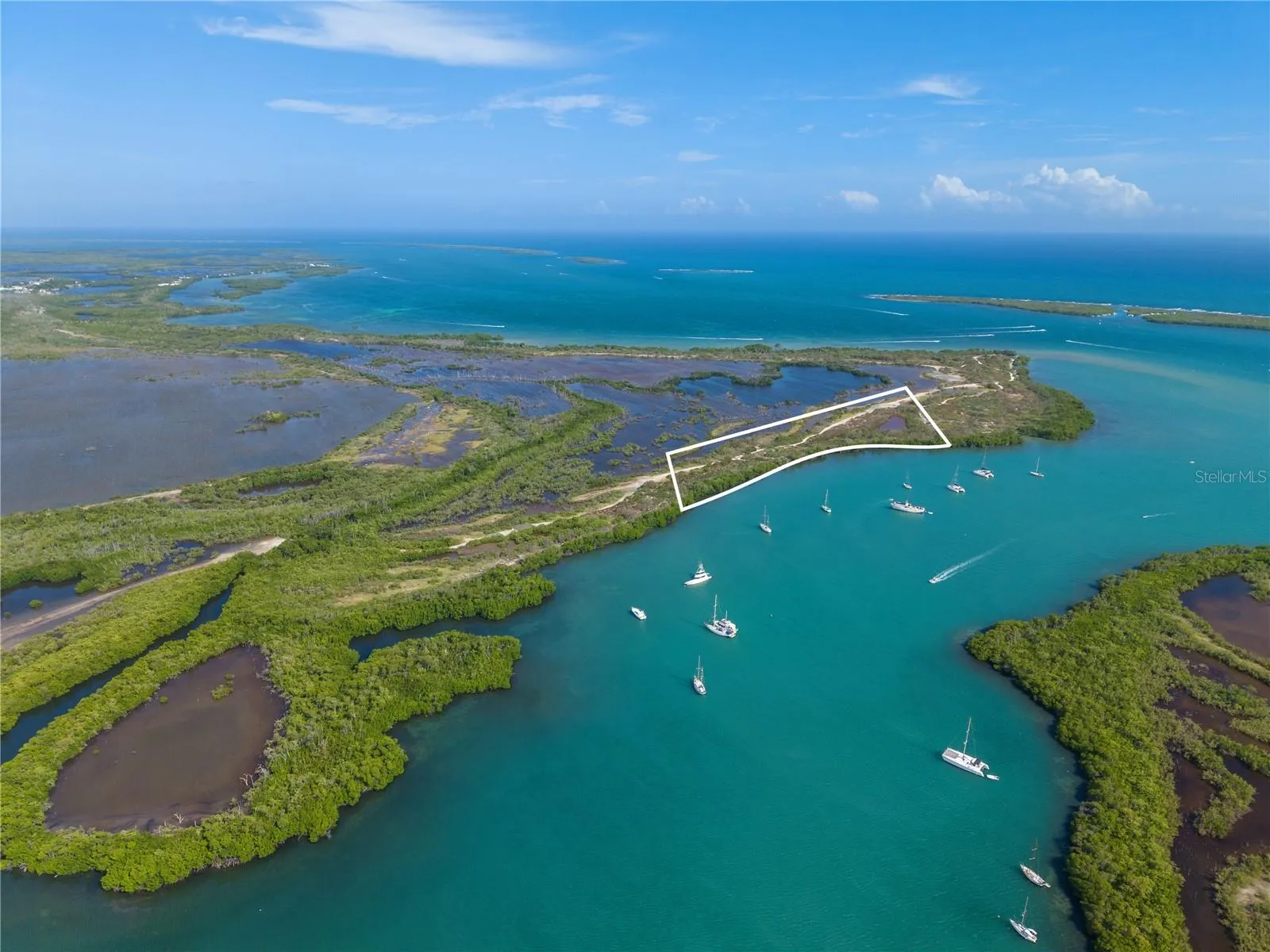 Aerial Coastal View