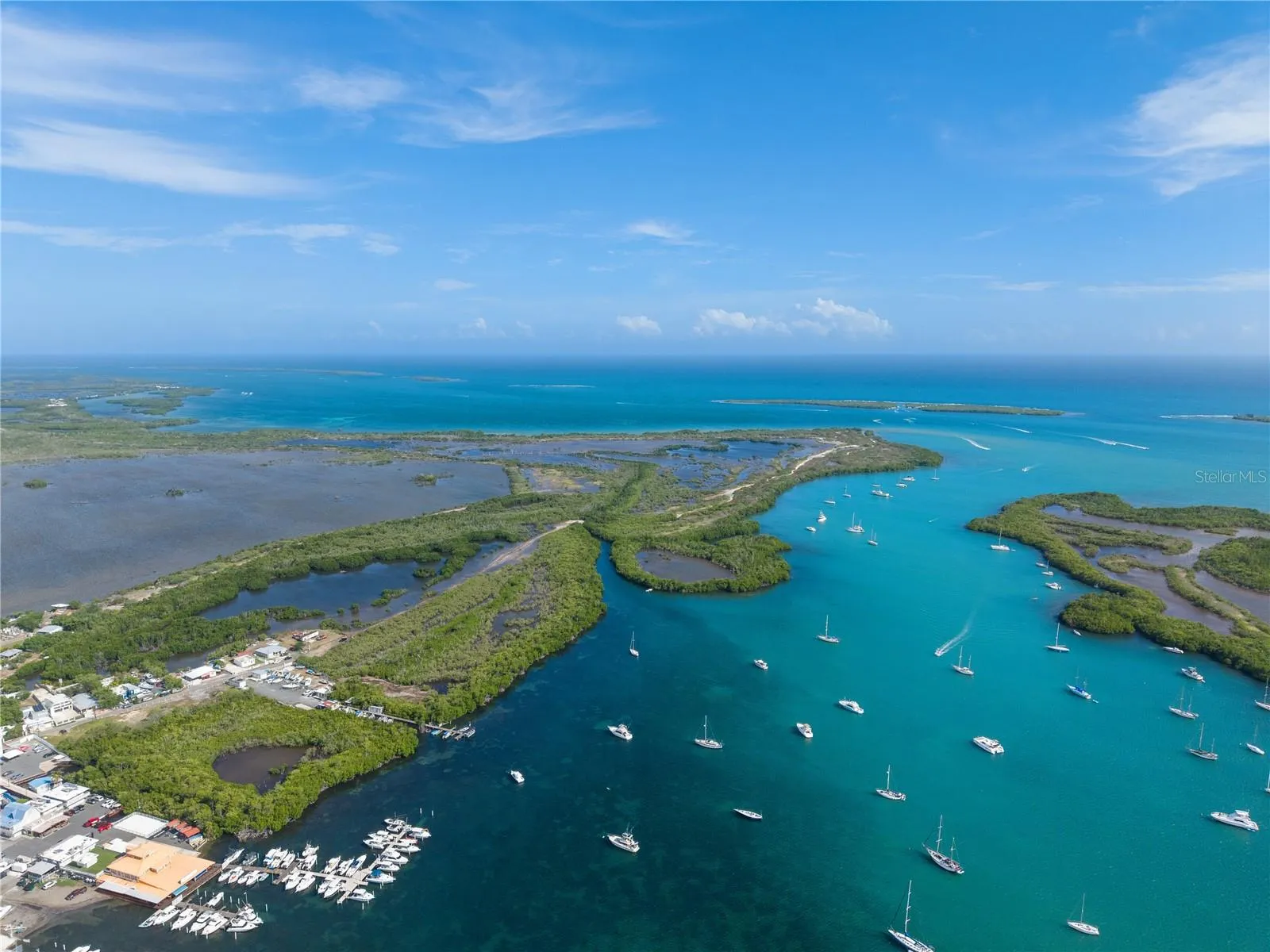 Aerial Coastal View