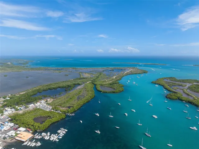 Aerial Coastal View