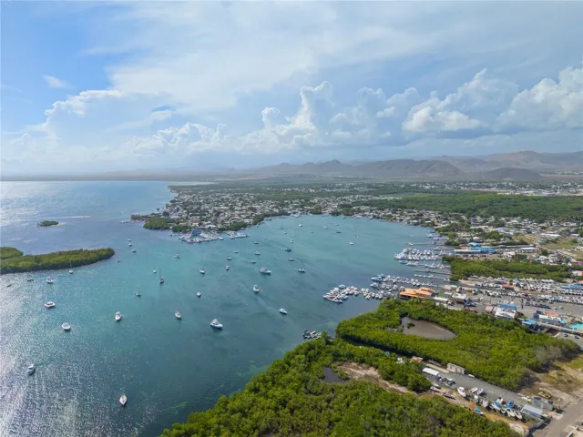 Aerial Coastal View