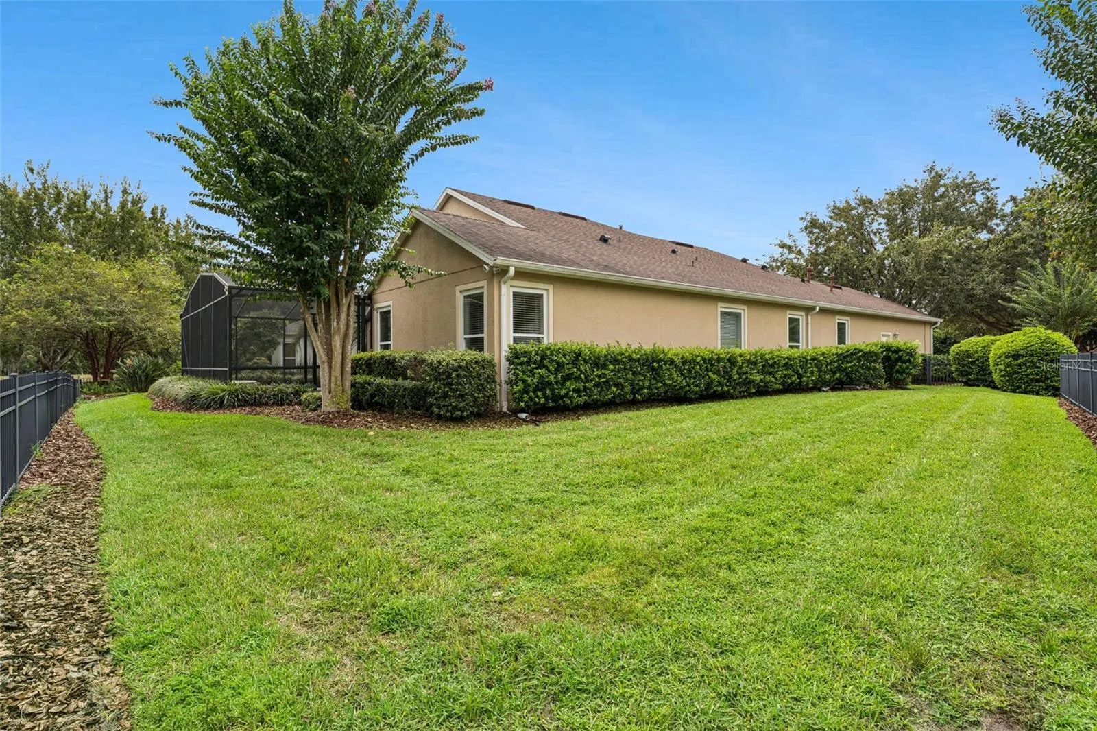 Yard along the left side of the home