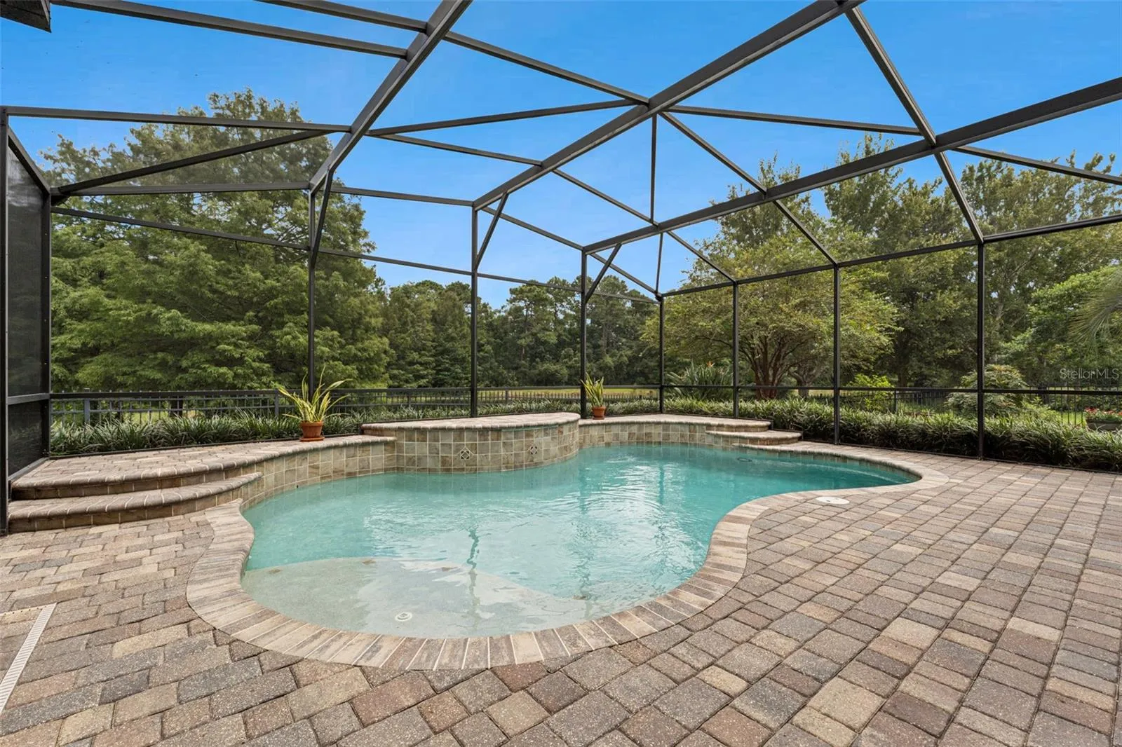 15' x 23'6" solar panel heated pool, 30' x 31' screen enclosed patio & a Pond/Conservation area view