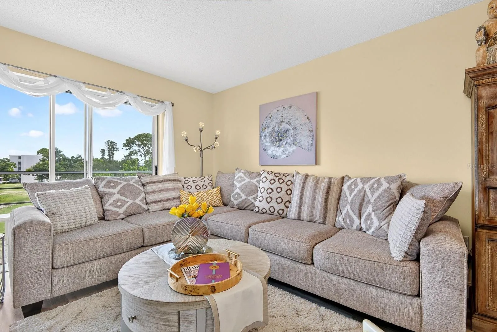 Close up of living room couch