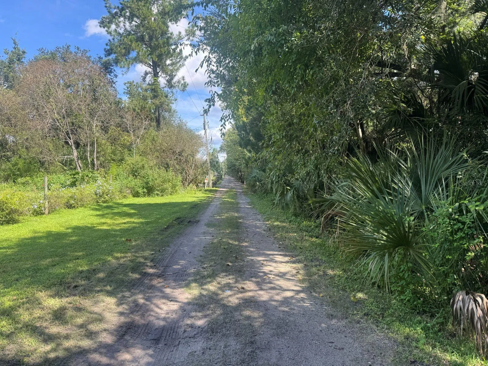 Mecca Hammock Trail