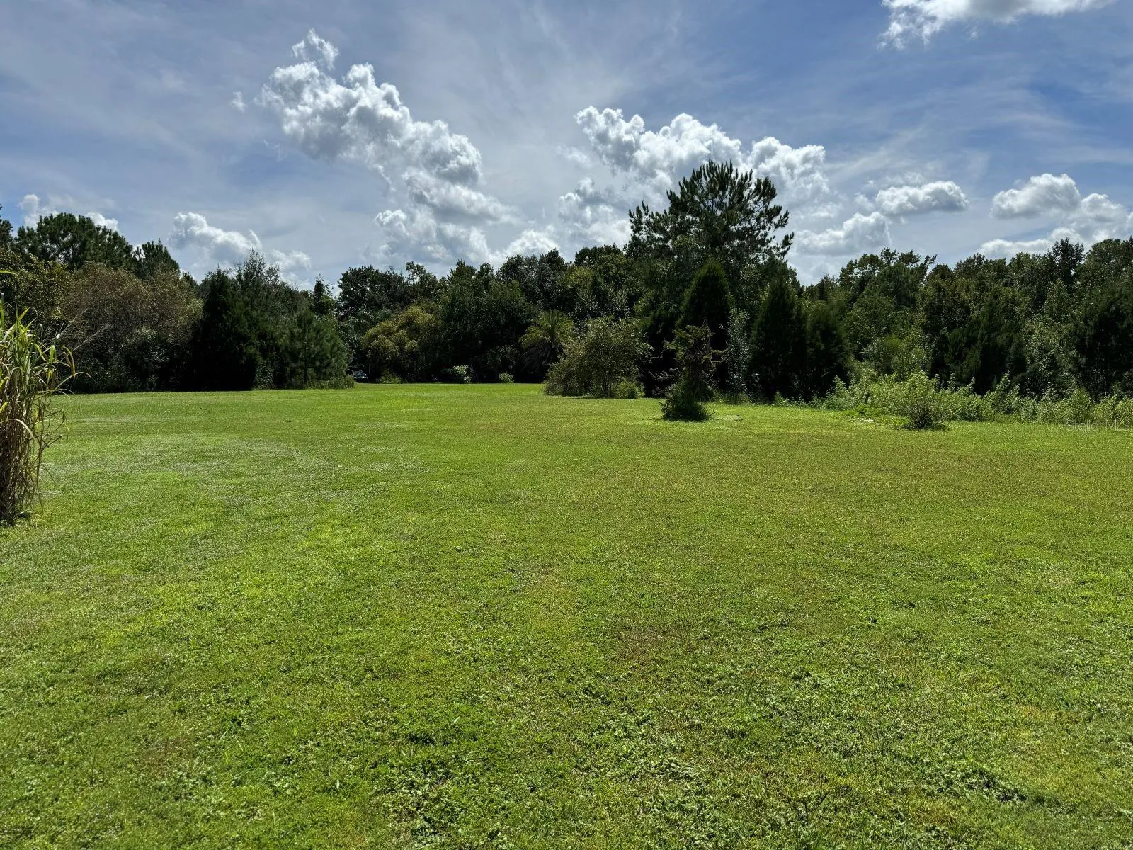 Potential Home site