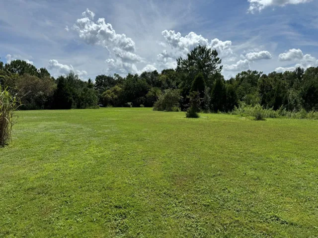 Potential Home site