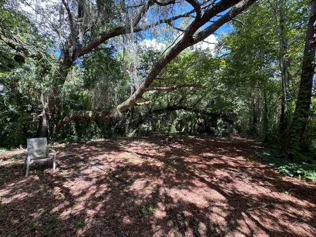 Walking trail