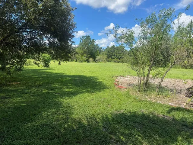 Inside front gate- Elderberry trees to the right