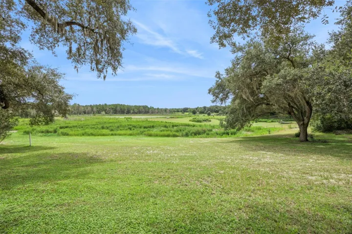 Stroll through the picturesque grounds dotted with towering oaks and natural Florida beauty.