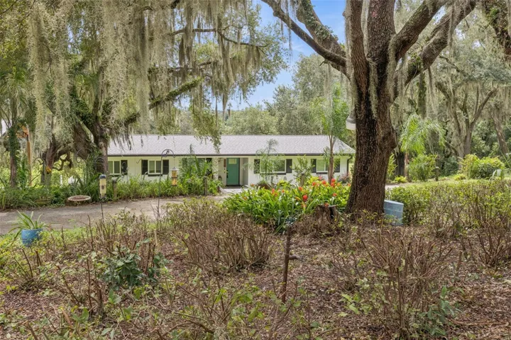 Charming curb appeal nestled beneath majestic live oaks draped in Spanish moss, this lovingly renovated home is ready to welcome you.