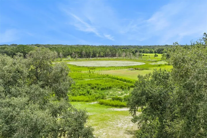 From the sky, you can see why this location is truly special: privacy, views, and room to roam.