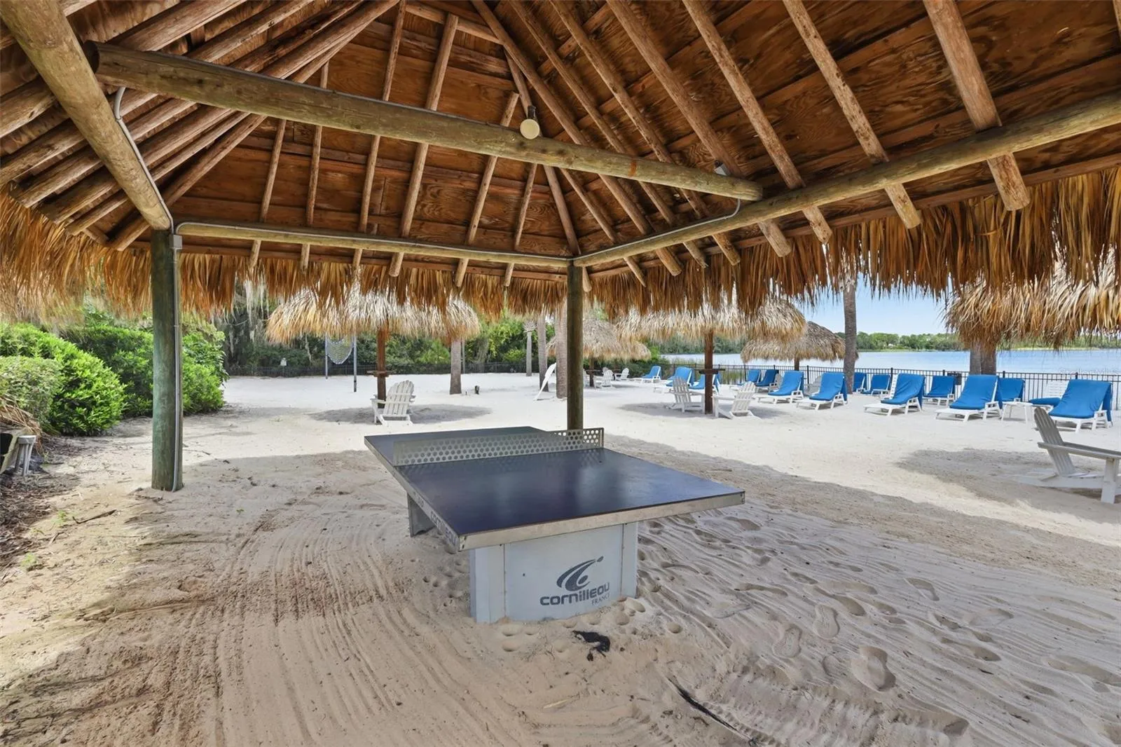 Ping Pong anyone?