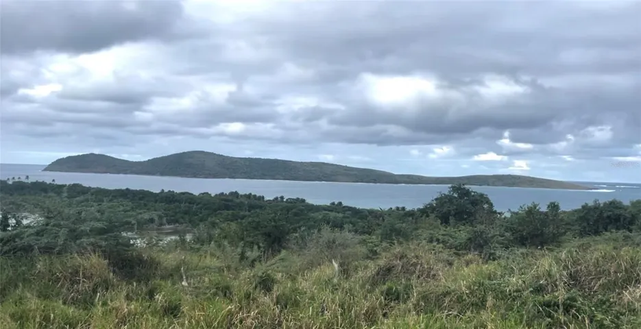 Cayo from the lower lot.