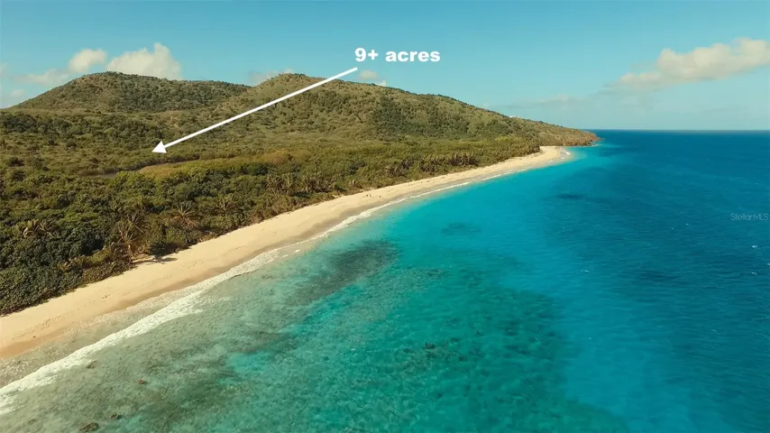 See the 3 People on Zoni? A Typical day at the beach!