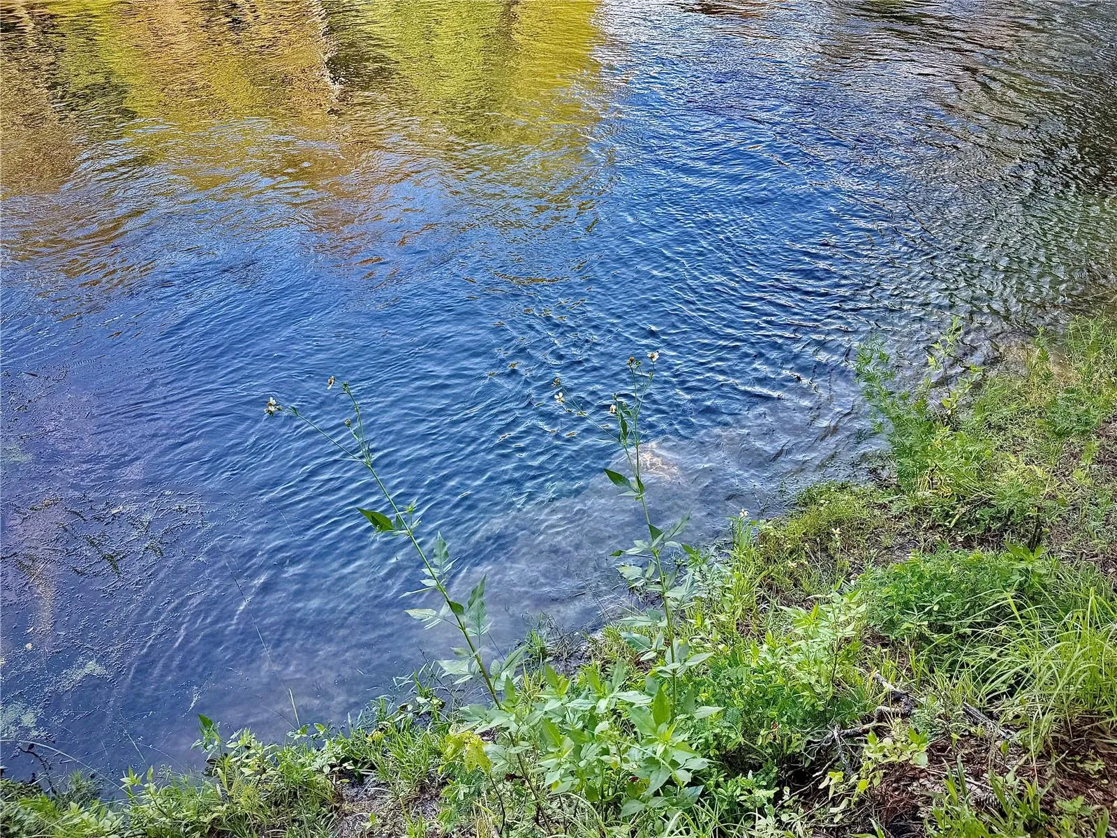 Wilderness RV Resort River Access