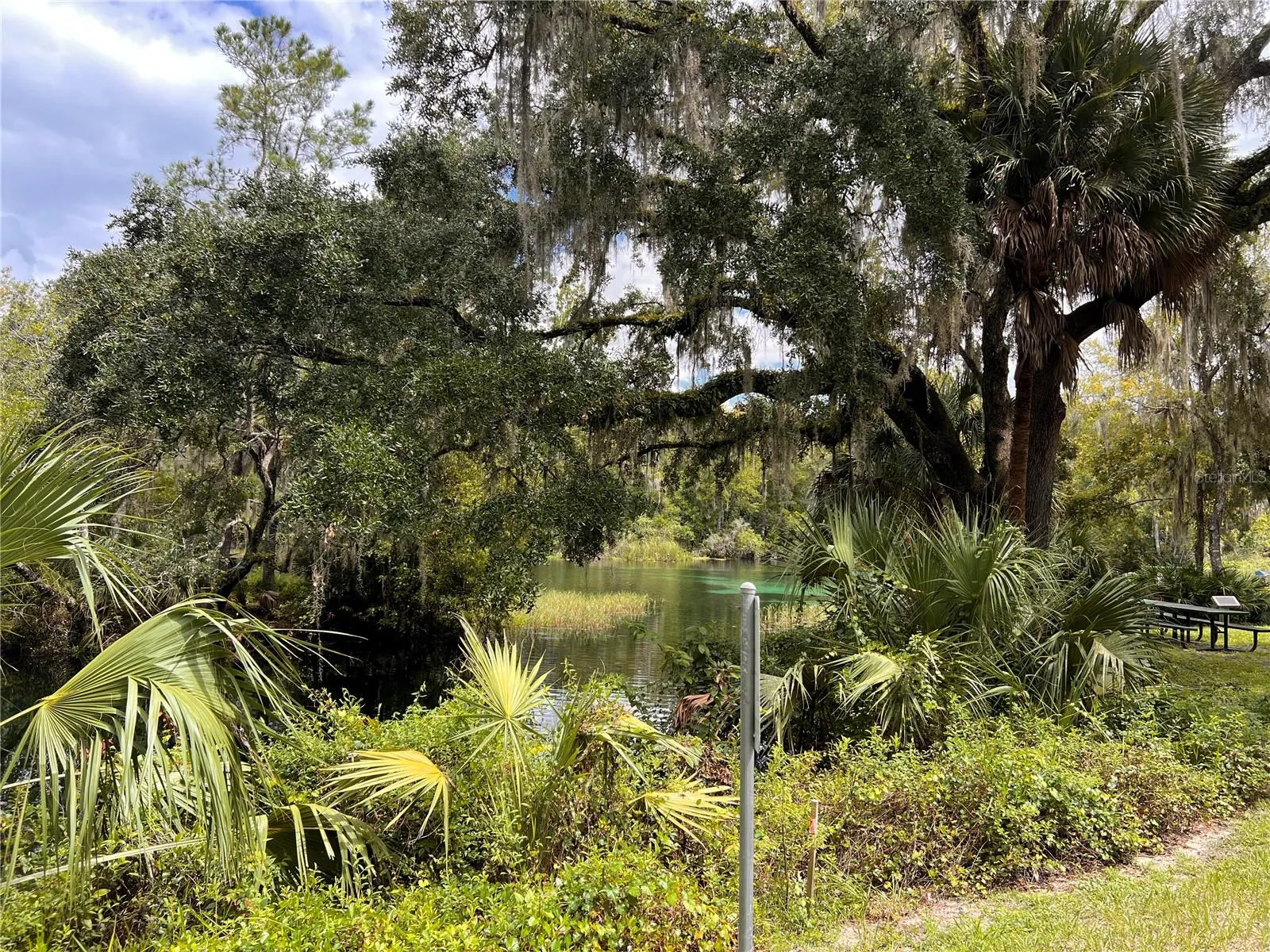 Rainbow Springs Resident River park