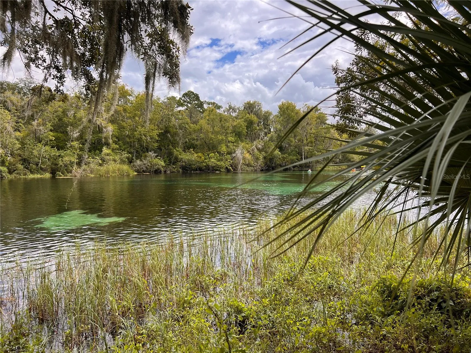 View of Rainbow River from residents park