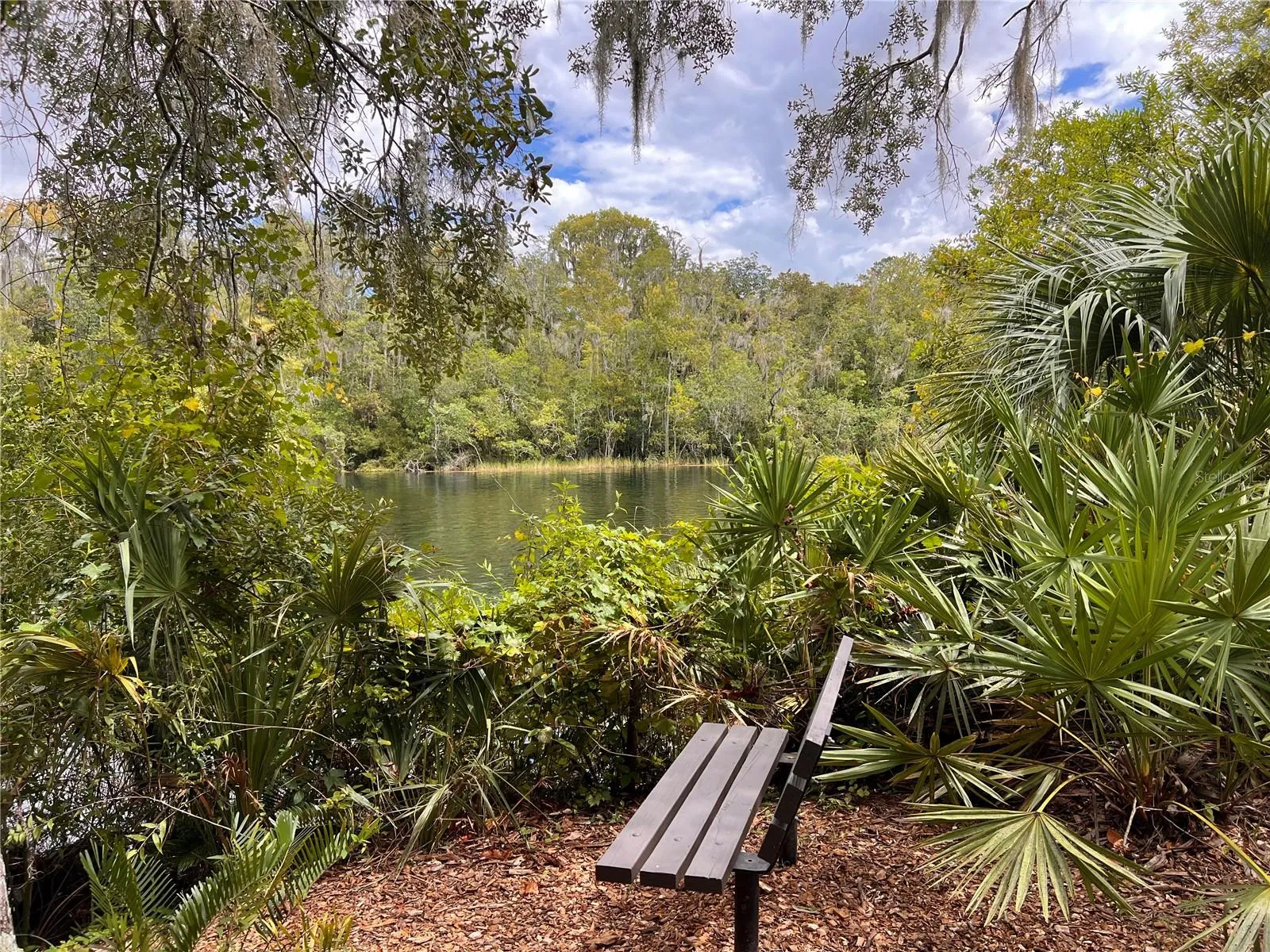 Rainbow Springs Resident River park
