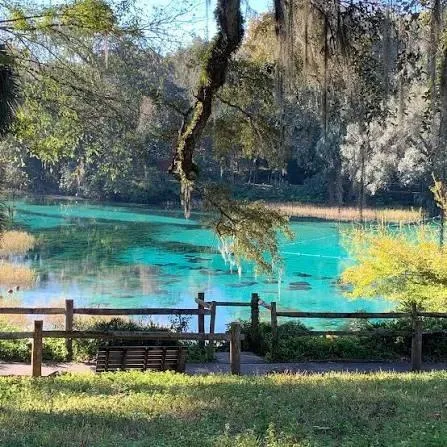 Rainbow Springs State Park just up the river