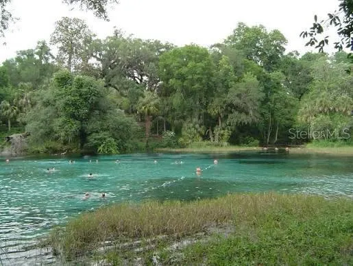 Rainbow Springs State Park just up the river