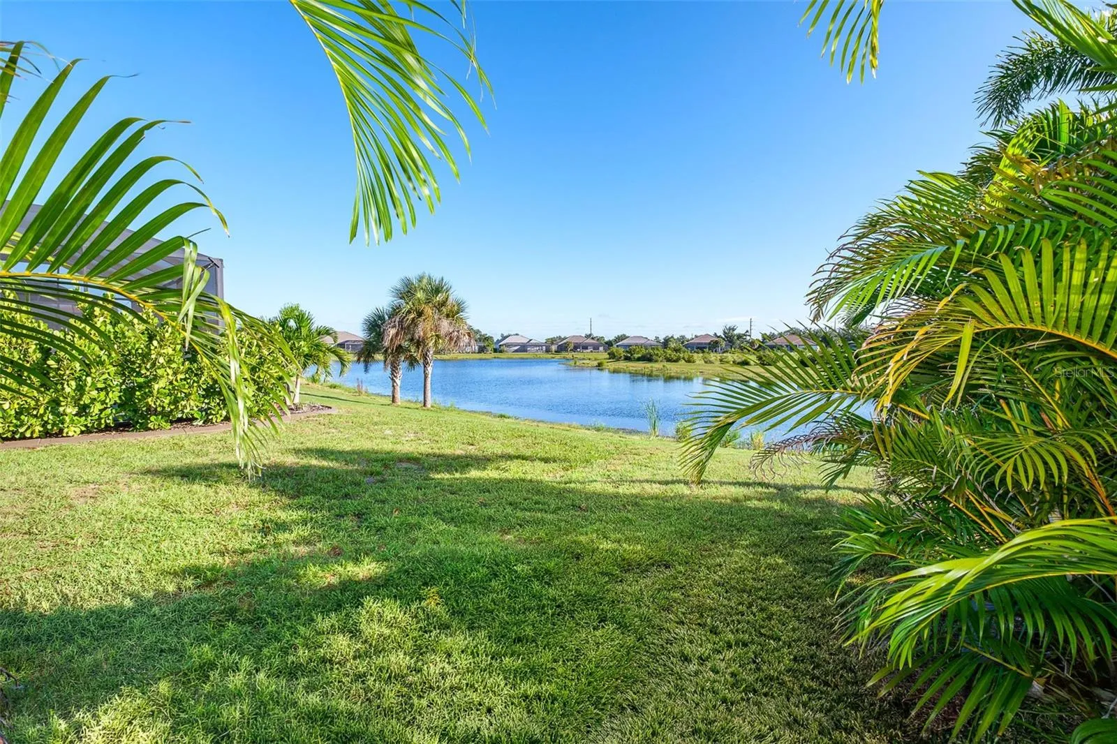 Side Yard View