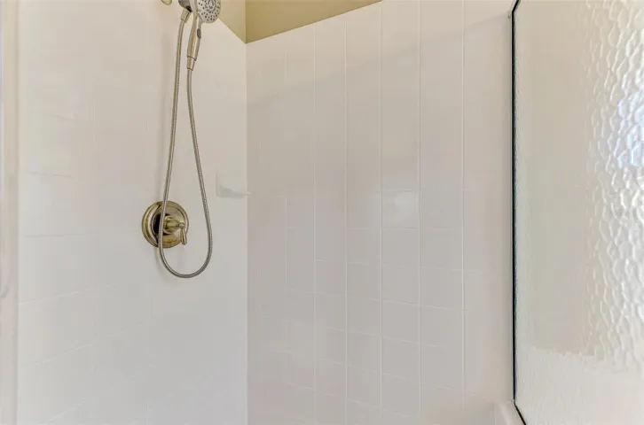 Master Shower